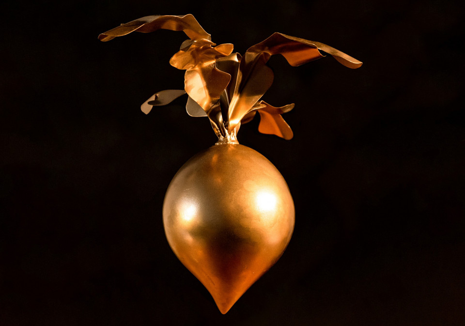 Das ist sie, die mysteriöse „Goldene Wruke“, die es beim ersten „JanuarSingen" an den Uckermärkischen Bühnen zu gewinnen gibt.