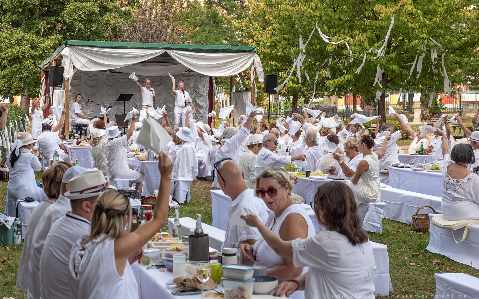 Dîner en blanc – Foto 4 von 20