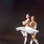 Bilder der Tanzschau vom 15.05.2010 – Foto 79 von 88