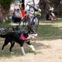 17. Schultheaterfest – Foto 59 von 221