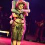 Pucks Sommernachtsshow – Foto 63 von 76