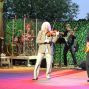 Pucks Sommernachtsshow 2014 – Foto 51 von 92