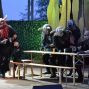 Pucks Sommernachtsshow 2014 – Foto 58 von 92