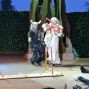 Pucks Sommernachtsshow 2014 – Foto 62 von 92