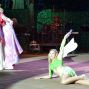 Pucks Sommernachtsshow 2014 – Foto 70 von 92