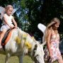 Wir sind Elfenwald! Heimat beflügeln – Foto 74 von 256