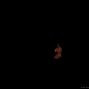 23. Schultheaterfest – Foto 130 von 140