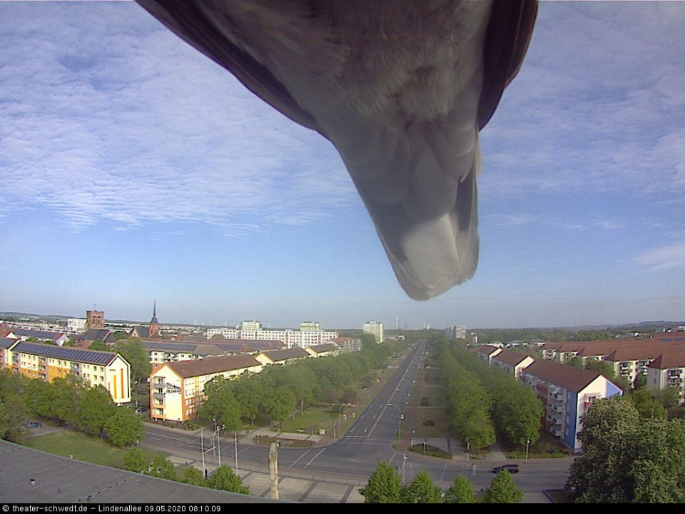  (hinzugefügt von vogel am 09.05.2020)