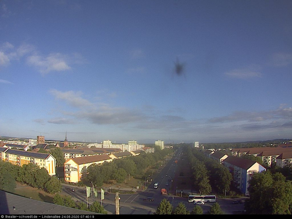Spinnchen auf der Lauer (hinzugefügt von Heimweh am 24.08.2020)