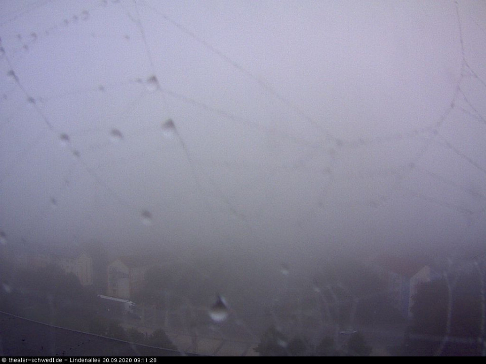 Bei Regen gibt's für das Spinnlein sicher nicht so viel zu holen... (hinzugefügt von Heimweh am 30.09.2020)