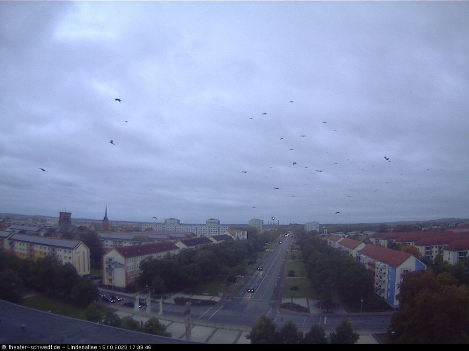 Die Vögel (hinzugefügt von Schwedter am 15.10.2020)