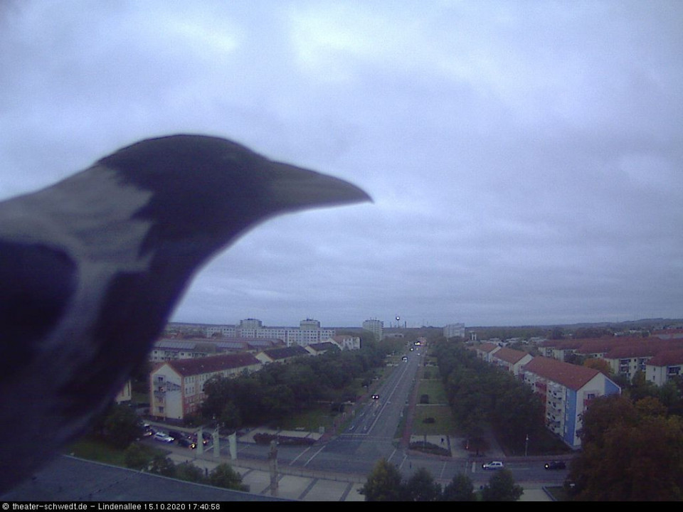  (hinzugefügt von Schwedter am 15.10.2020)