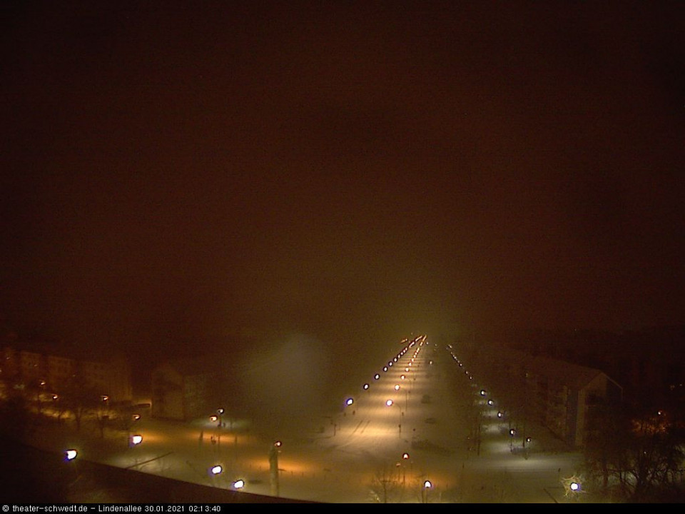 Das wird mein Jahr. (hinzugefügt von Schlittenverkauf am 30.01.2021)