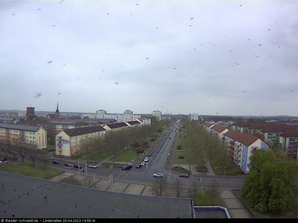 lauter Piepmätze in der Luft (hinzugefügt von Vogel am 28.04.2023)