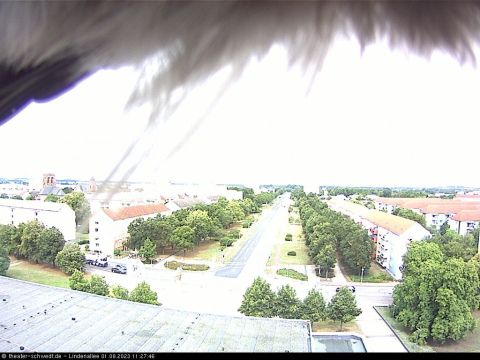 Ziemlich hell hier...