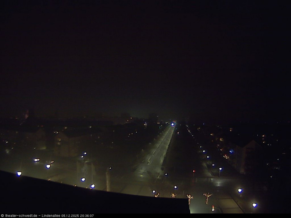 Im Dunste der Nacht - ganz allein ;  es scheint der schwedter Erlkönig zu sein. (hinzugefügt von Jonas am 05.12.2025)