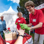 Auf einem Außengelände betreuen mehrere AWO-Mitarbeiterinnen in roten Poloshirts einen Informationsstand zur Blutdruck- und Blutzuckermessung. Eine Frau mit grünen Handschuhen versorgt lächelnd die ausgestreckte Hand einer Person, während weitere Besucherinnen und Zelte im Hintergrund zu sehen sind.