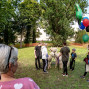 In einem grünen Park versammeln sich mehrere Menschen um zwei Alpakas, die von einer Betreuerin gehalten werden. Rechts stehen bunte Luftballons und ein kleiner Stand, während Kinder und Erwachsene die Tiere beobachten.
